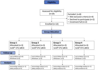 A dose escalation study to evaluate the safety of an aerosol BCG infection in previously BCG-vaccinated healthy human UK adults